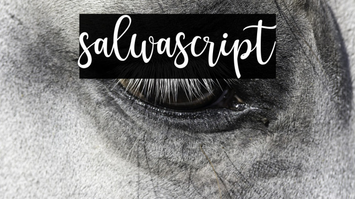 salwascript Example 1