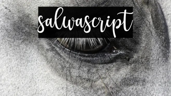 salwascript Example 1