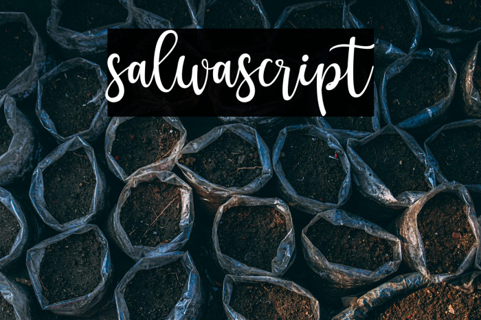 salwascript Example 2