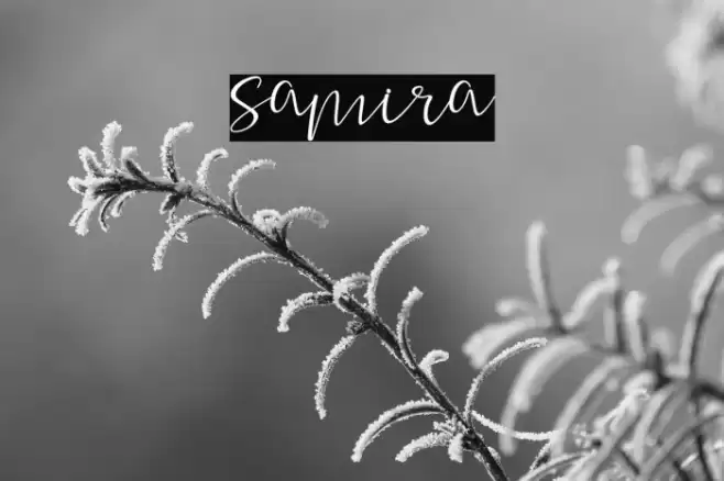 samira خط examples