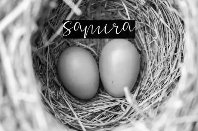 samira خط examples