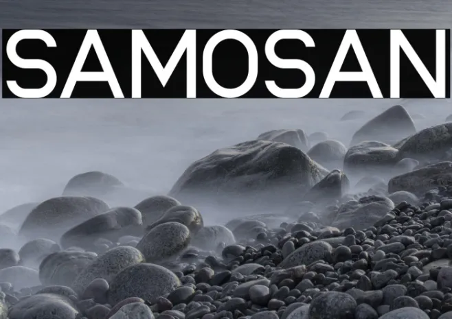 samosan Example 1