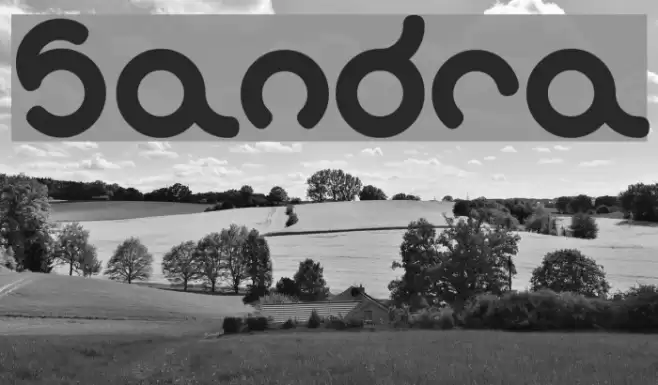 sandra Font examples