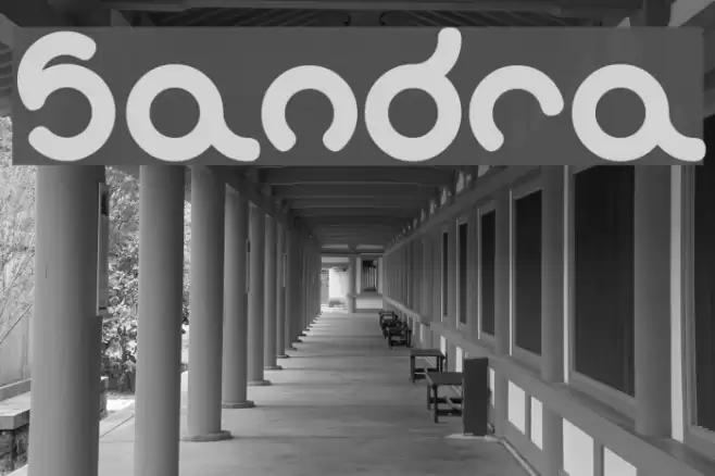 sandra Font examples