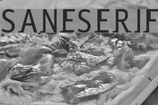 saneserif Schriftart examples