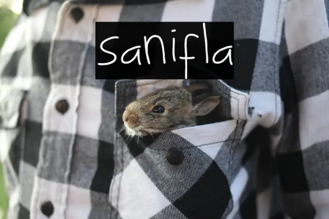 sanifla Example 1