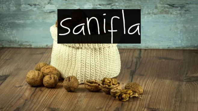 sanifla Example 2