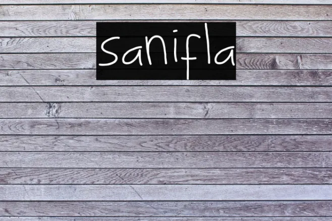 sanifla Example 3