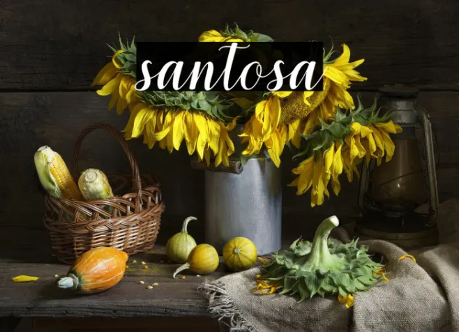 santosa Example 1