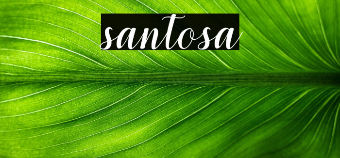 santosa Example 2