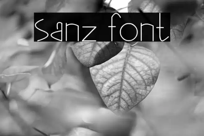 sanz Font examples