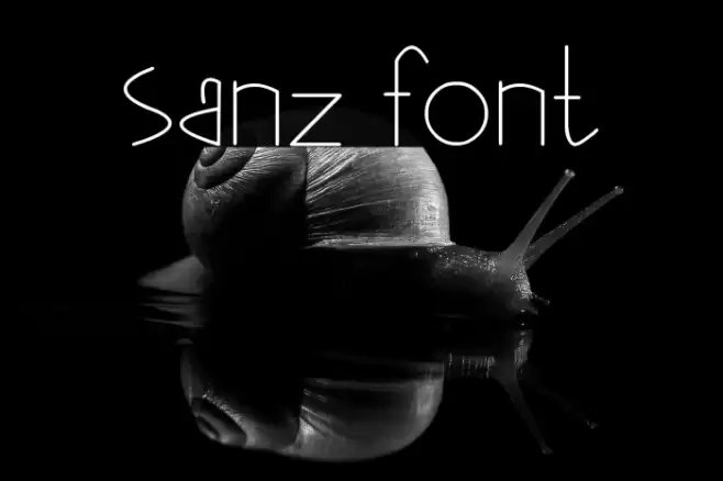 sanz Font examples