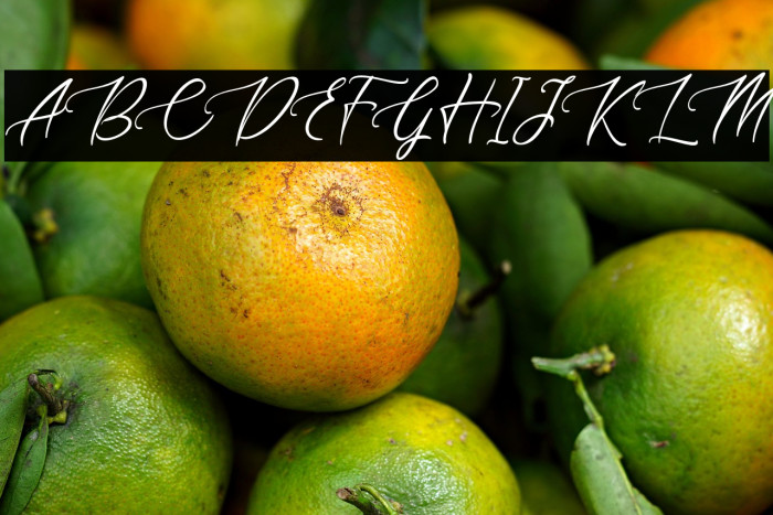 sapha demo Regular Example 2