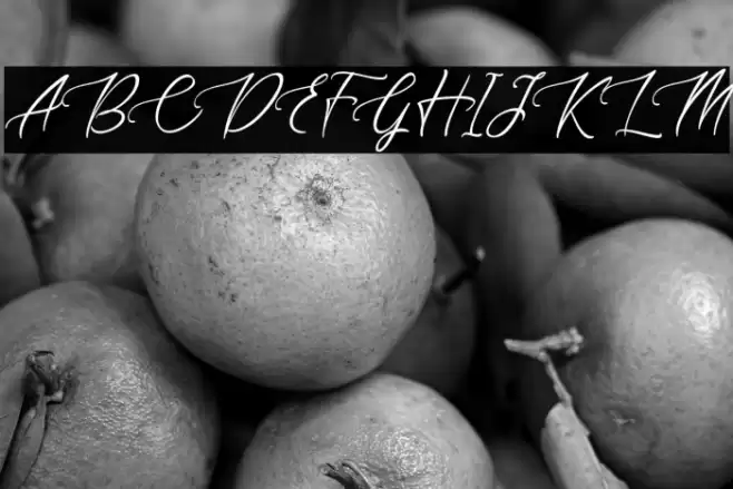 sapha demo Regular Font examples