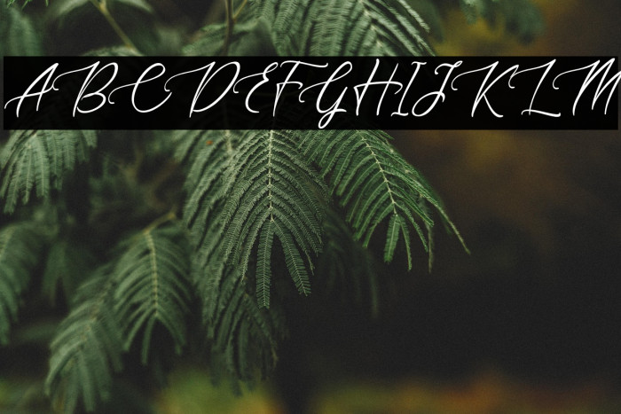 sapha demo Regular Example 3