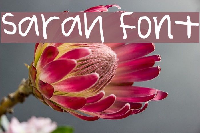 sarah Font examples
