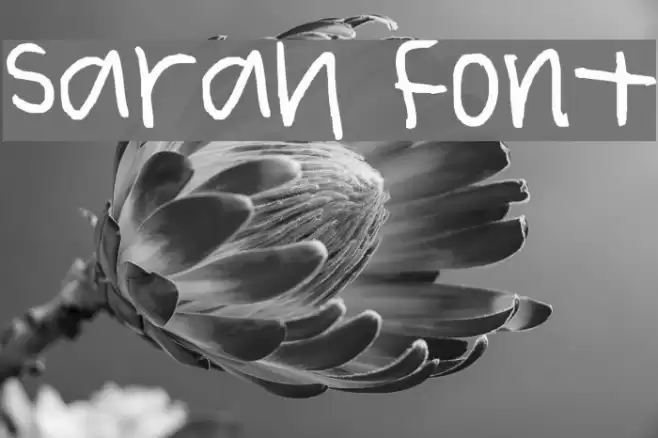 sarah Fonte examples