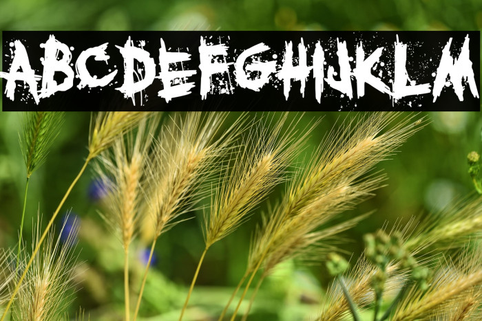 satan's island Example 1