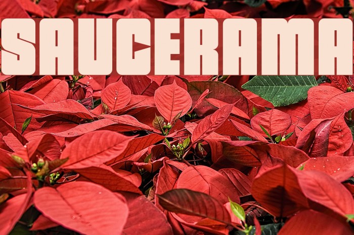 saucerama フォント examples