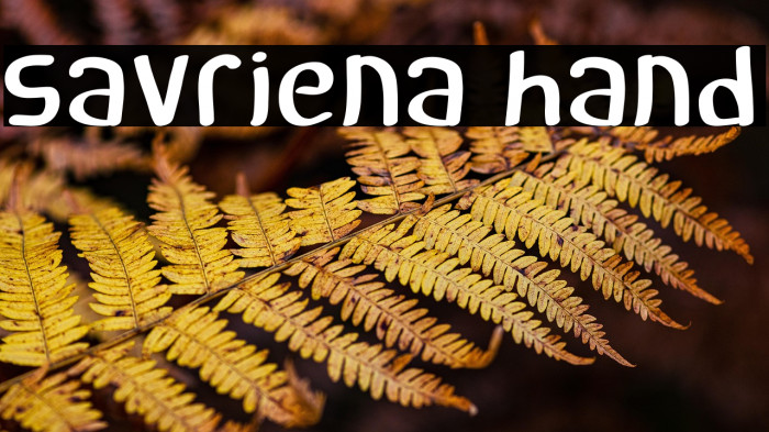 savriena hand Example 3