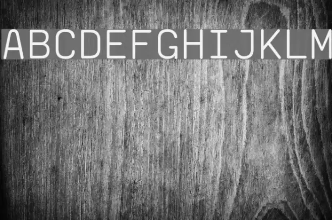 saxMono Polices examples