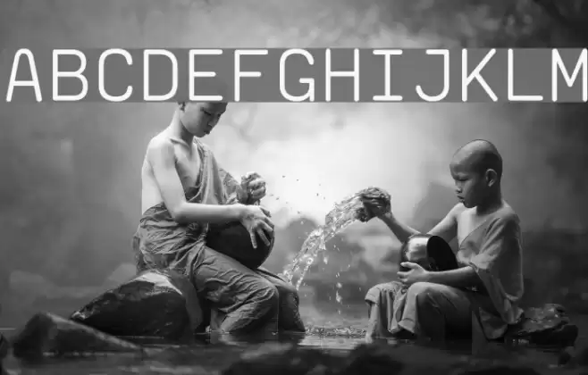 saxMono Polices examples