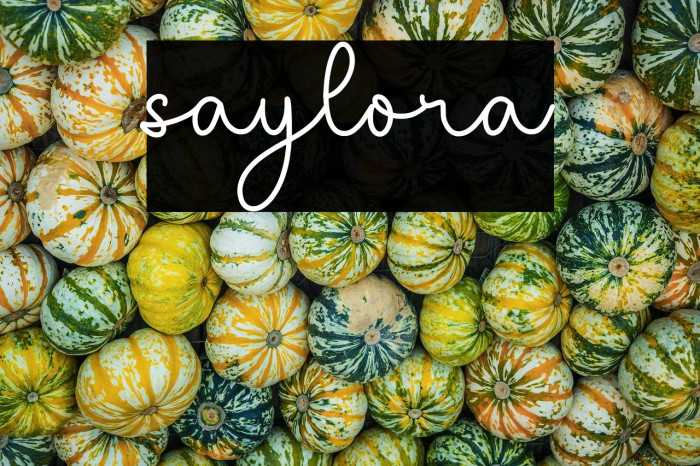 saylora Example 1