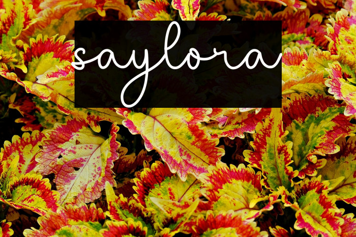 saylora Example 2