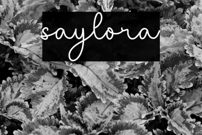 saylora Font examples