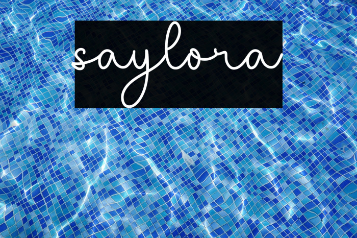 saylora Example 3