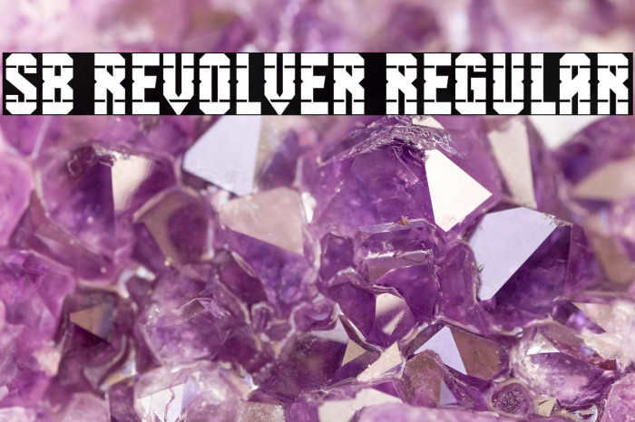 SB Revolver Regular Example 1