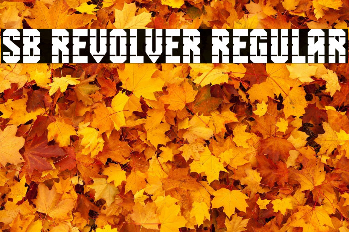 SB Revolver Regular Example 3