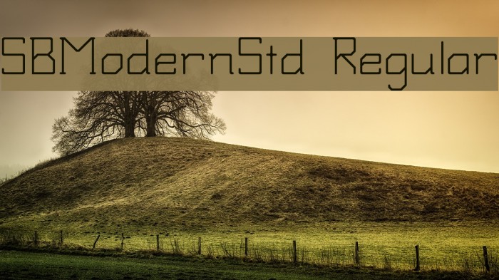 SBModernStd Regular Font examples