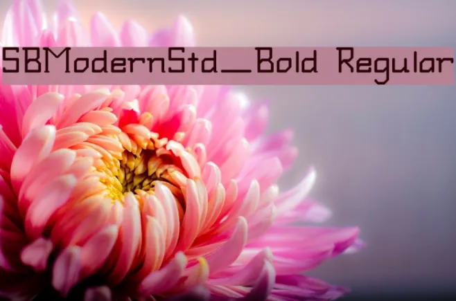 SBModernStd_Bold Regular Example 1