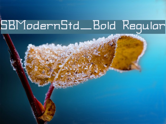 SBModernStd_Bold Regular Font examples
