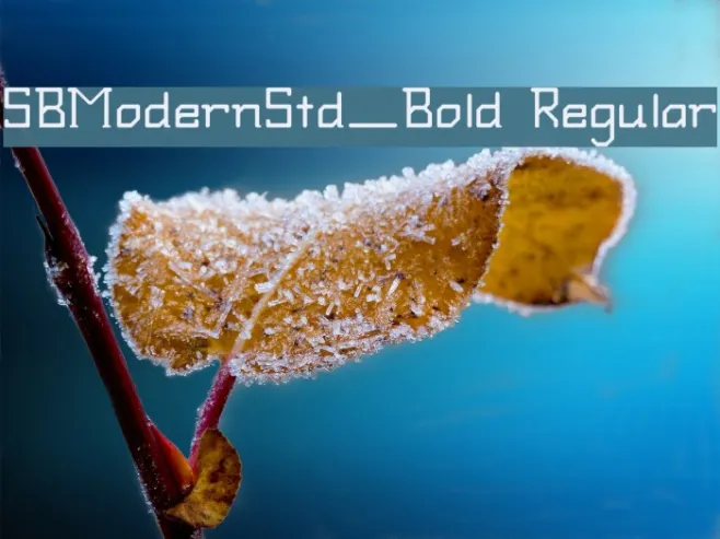 SBModernStd_Bold Regular Example 2
