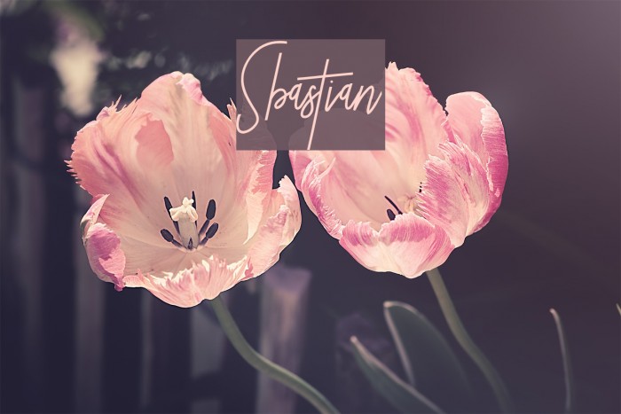 Sbastian Caratteri examples