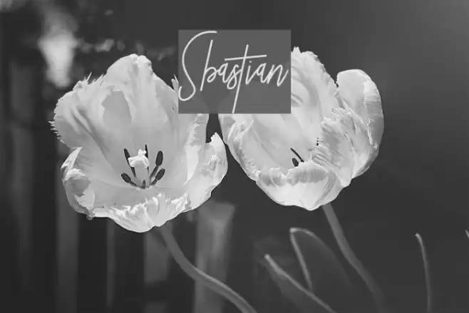 Sbastian Caratteri examples