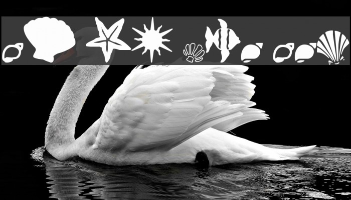 SC By The Sea Font examples