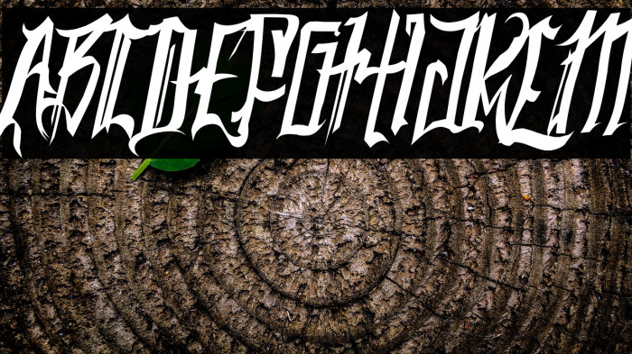 SC Kingston Example 2