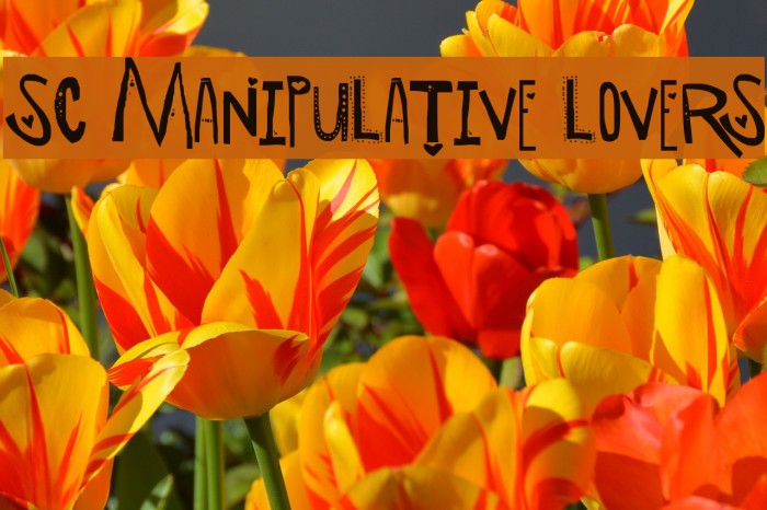 SC Manipulative Lovers Example 3