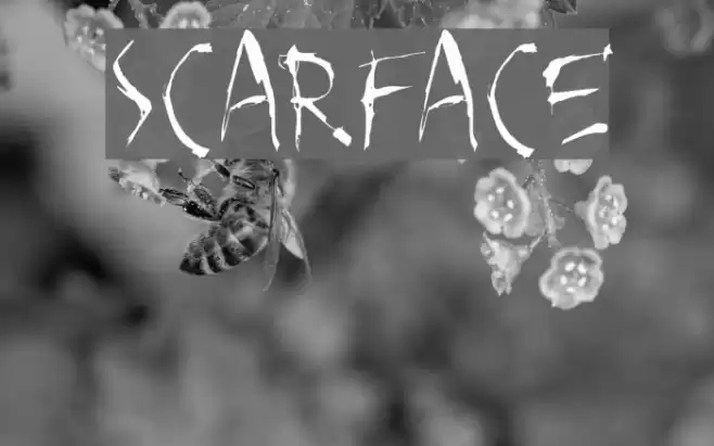 SCARFACE خط examples