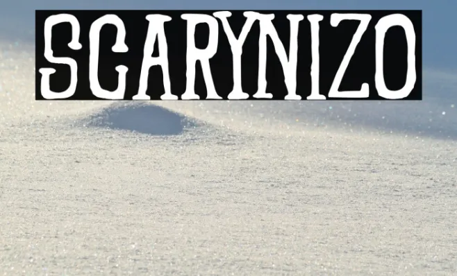SCARYNIZO Example 1