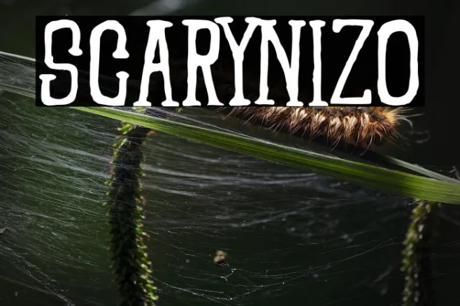 SCARYNIZO Example 2