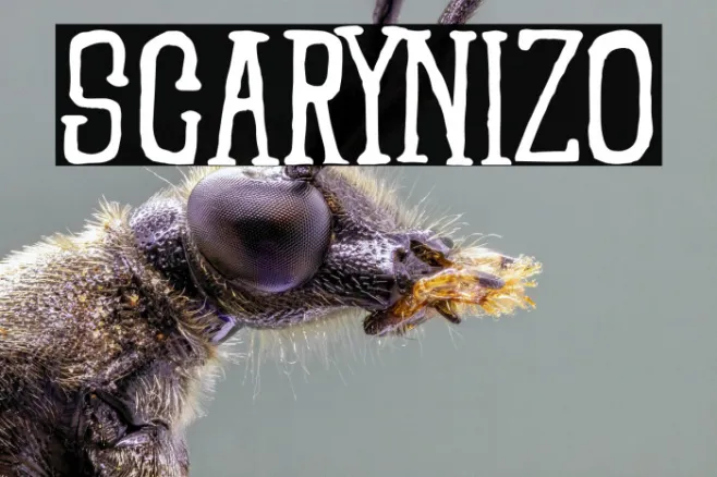 SCARYNIZO Example 3