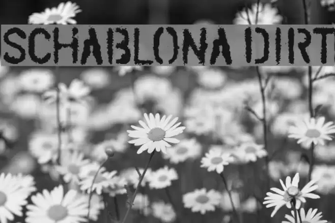 SCHABLONA DIRT Fonte examples