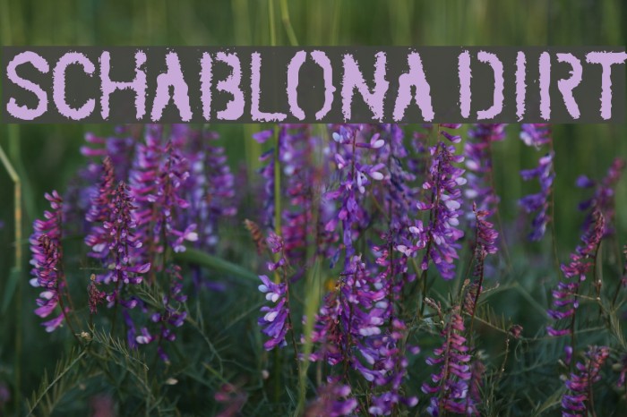 SCHABLONA DIRT Fonte examples