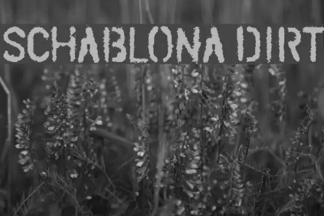 SCHABLONA DIRT Fonte examples
