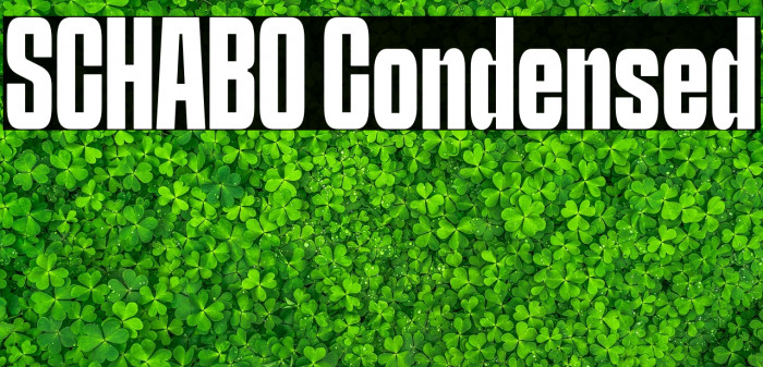 SCHABO Condensed Example 1