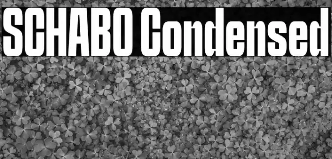 SCHABO Condensed फ़ॉन्ट examples